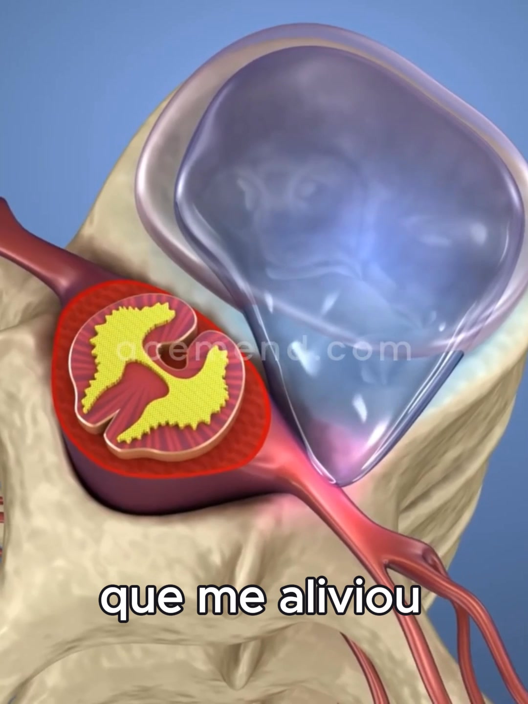 Cobrança Disponível
