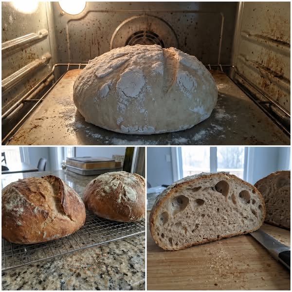 Lees dit als je van brood houdt
