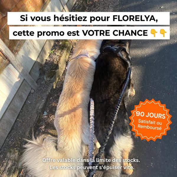Des balades que vous allez vraiment apprécier