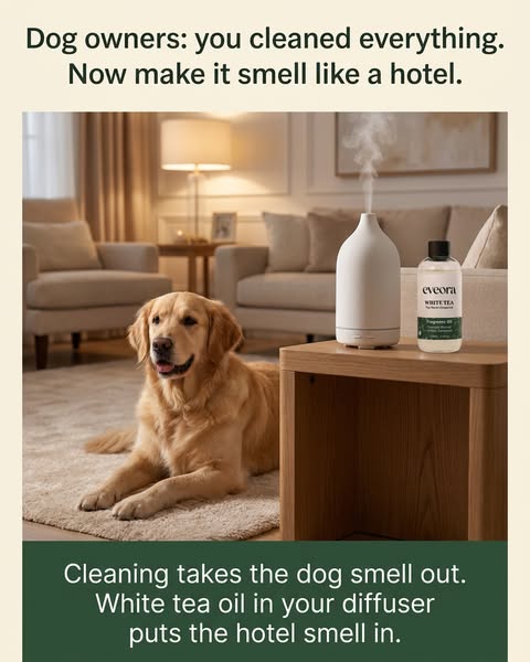 Transform Your Home into a Retreat