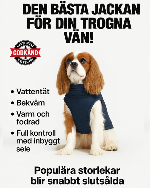 Se erbjudandet