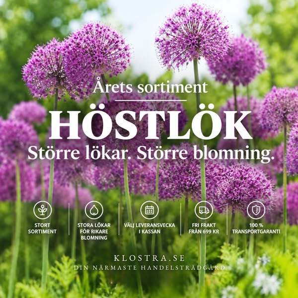 Vårblommande blomsterlökar