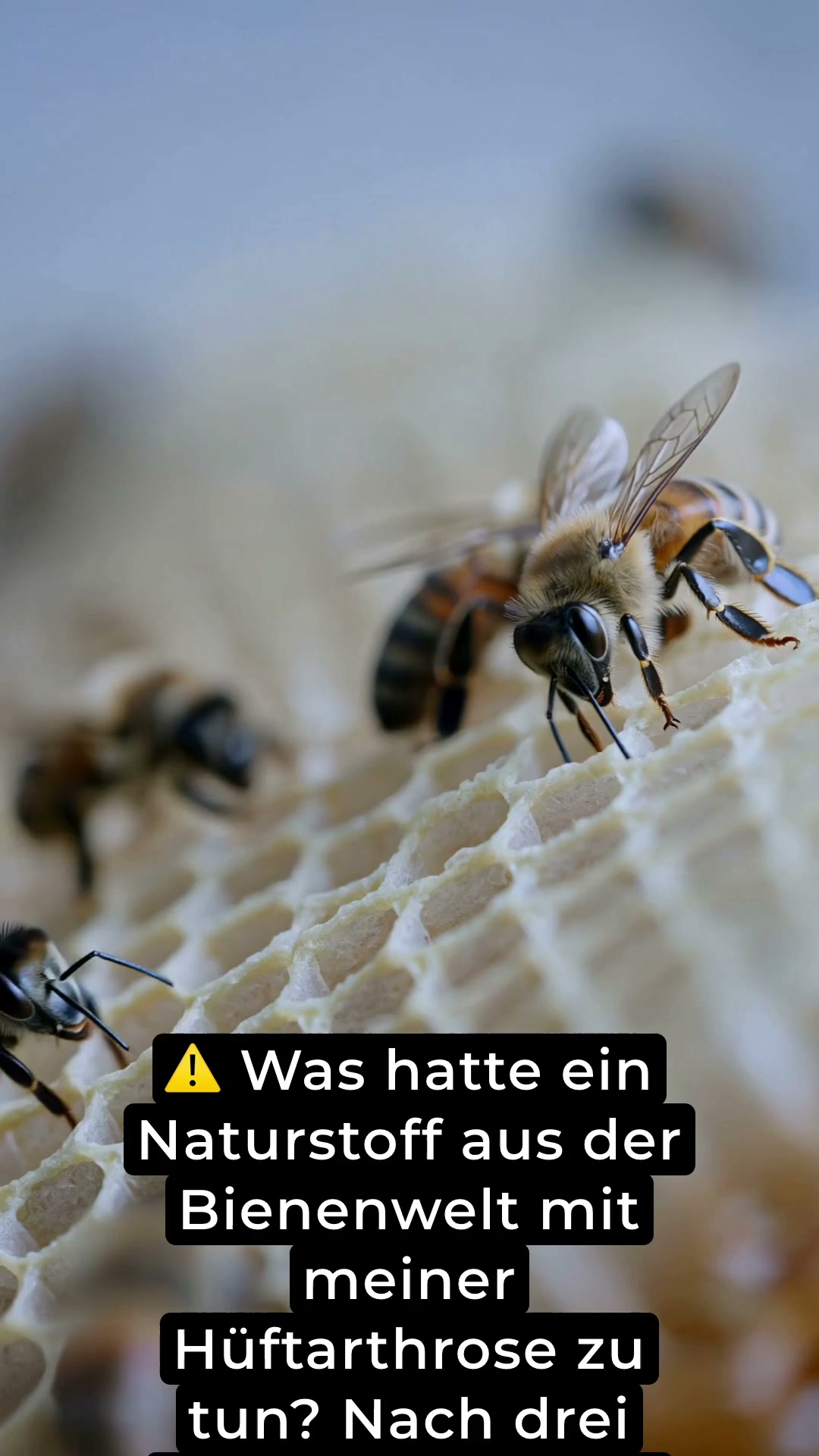 Natürliche Unterstützung für deine Hüfte