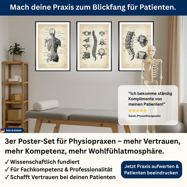 7 Anatomie-Poster für Ihre Praxis