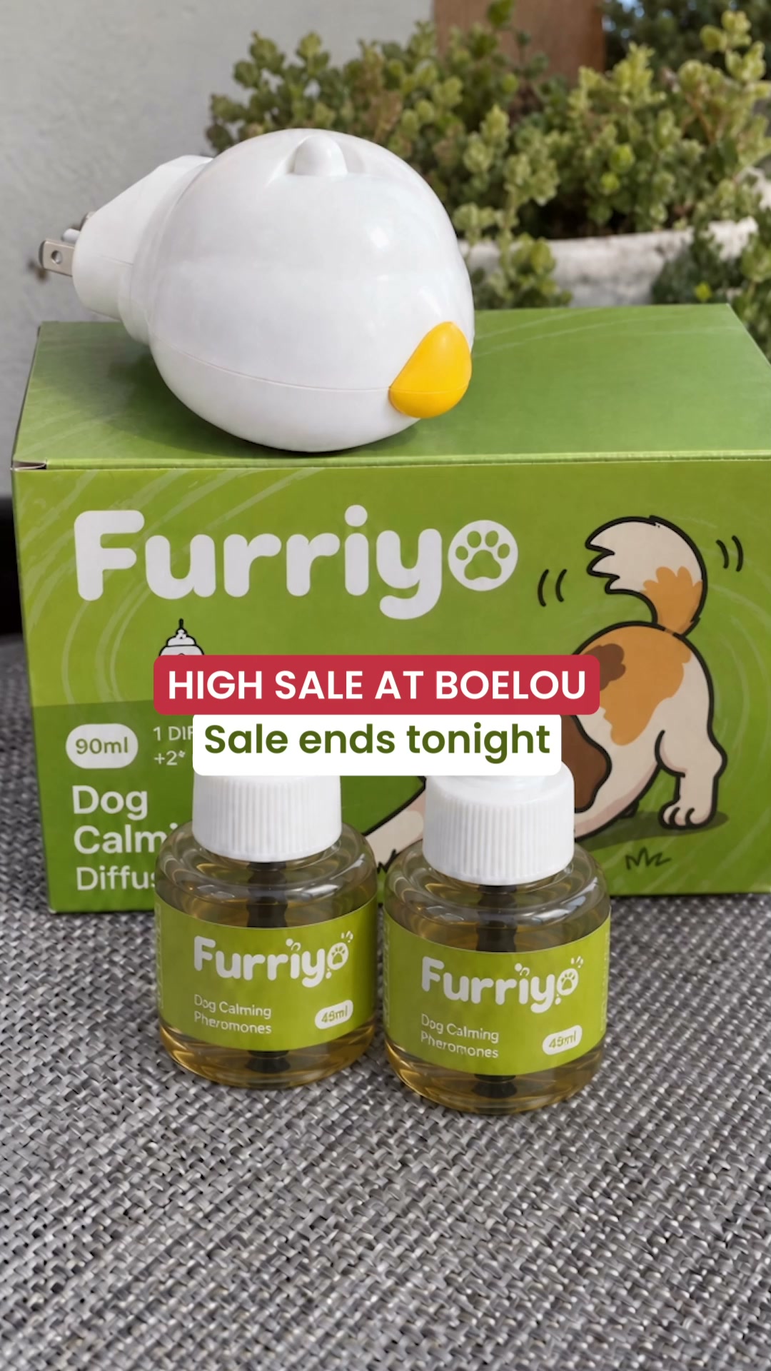 Sale ends today