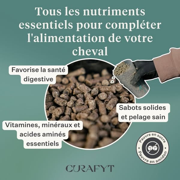 Le CMV Este a été développé par la vétérinaire équine Dr Sara Torfs.
