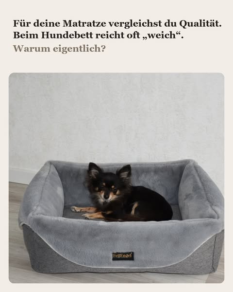 Komfort für kleine FellEngel