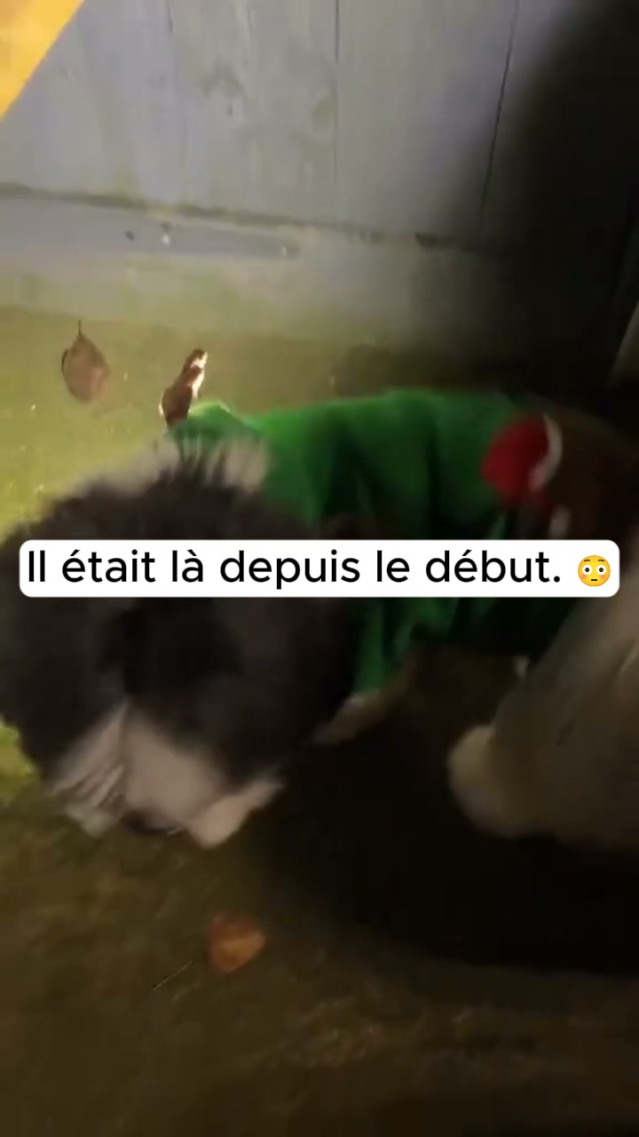 JUSQU'À -50 % + LIVRAISON OFFERTE