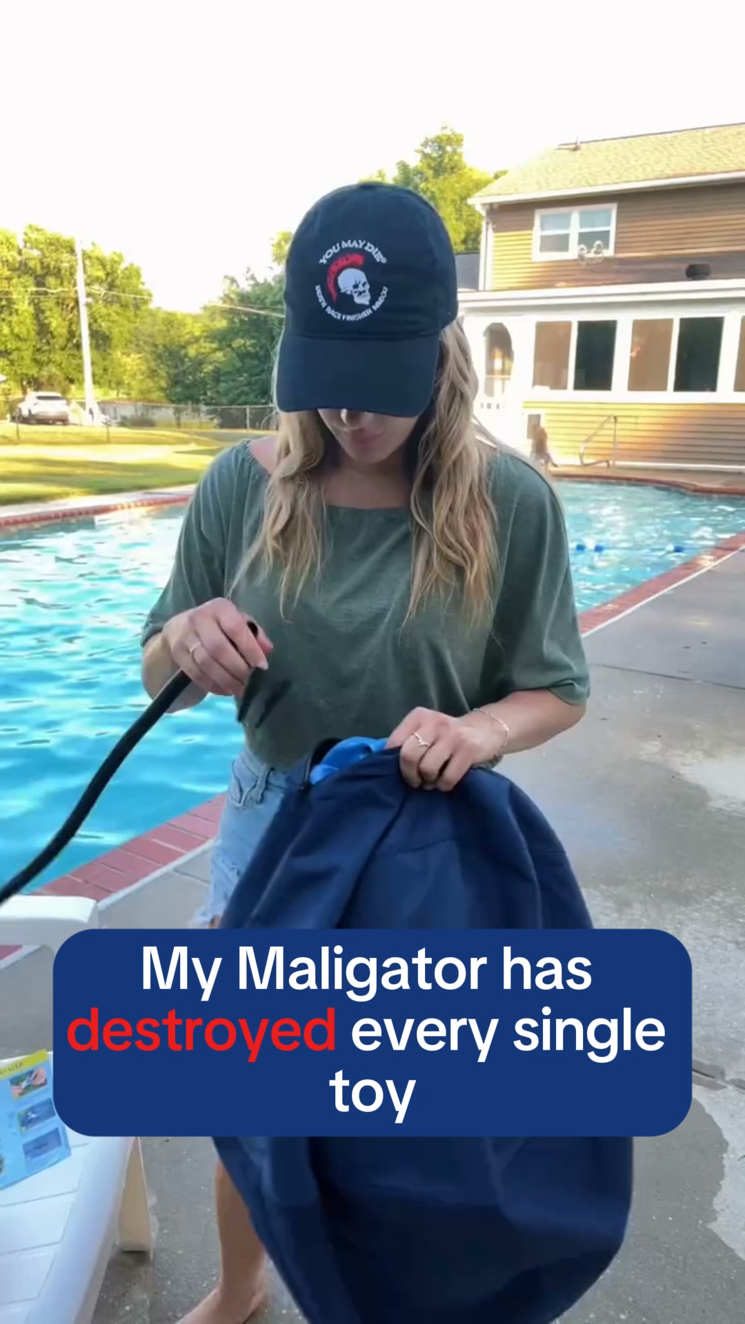 The Toy Maligators Can't Destroy