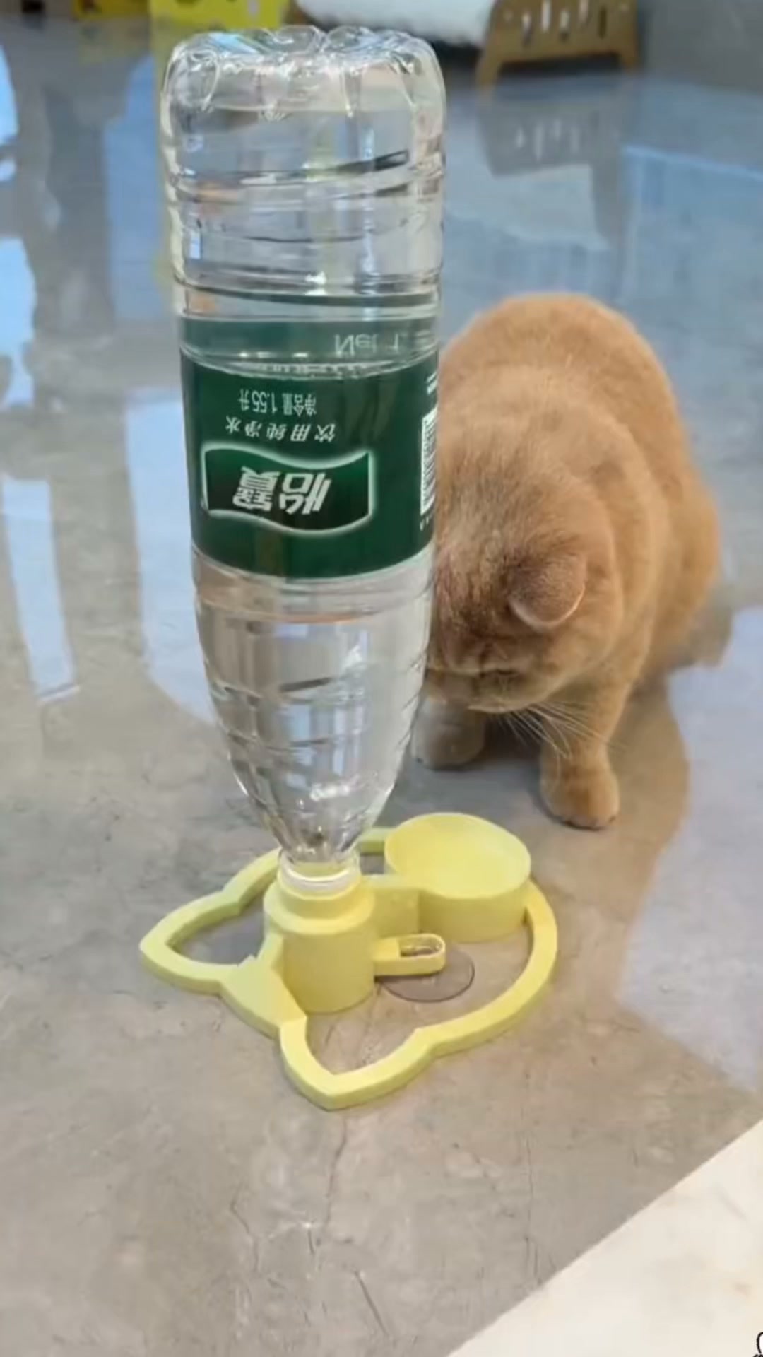 Make hydration easier today