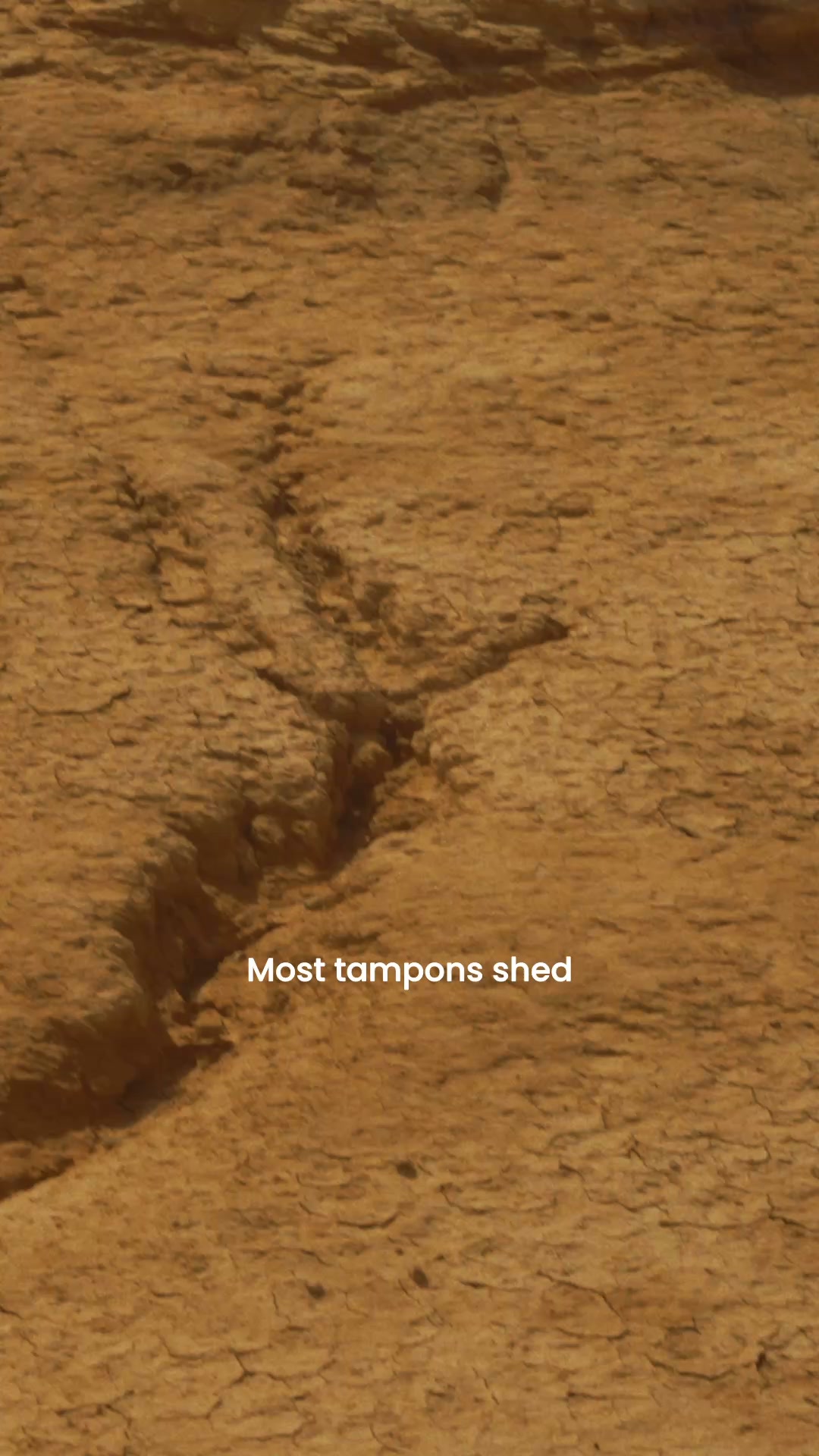 Clean standards, finally applied to period care.