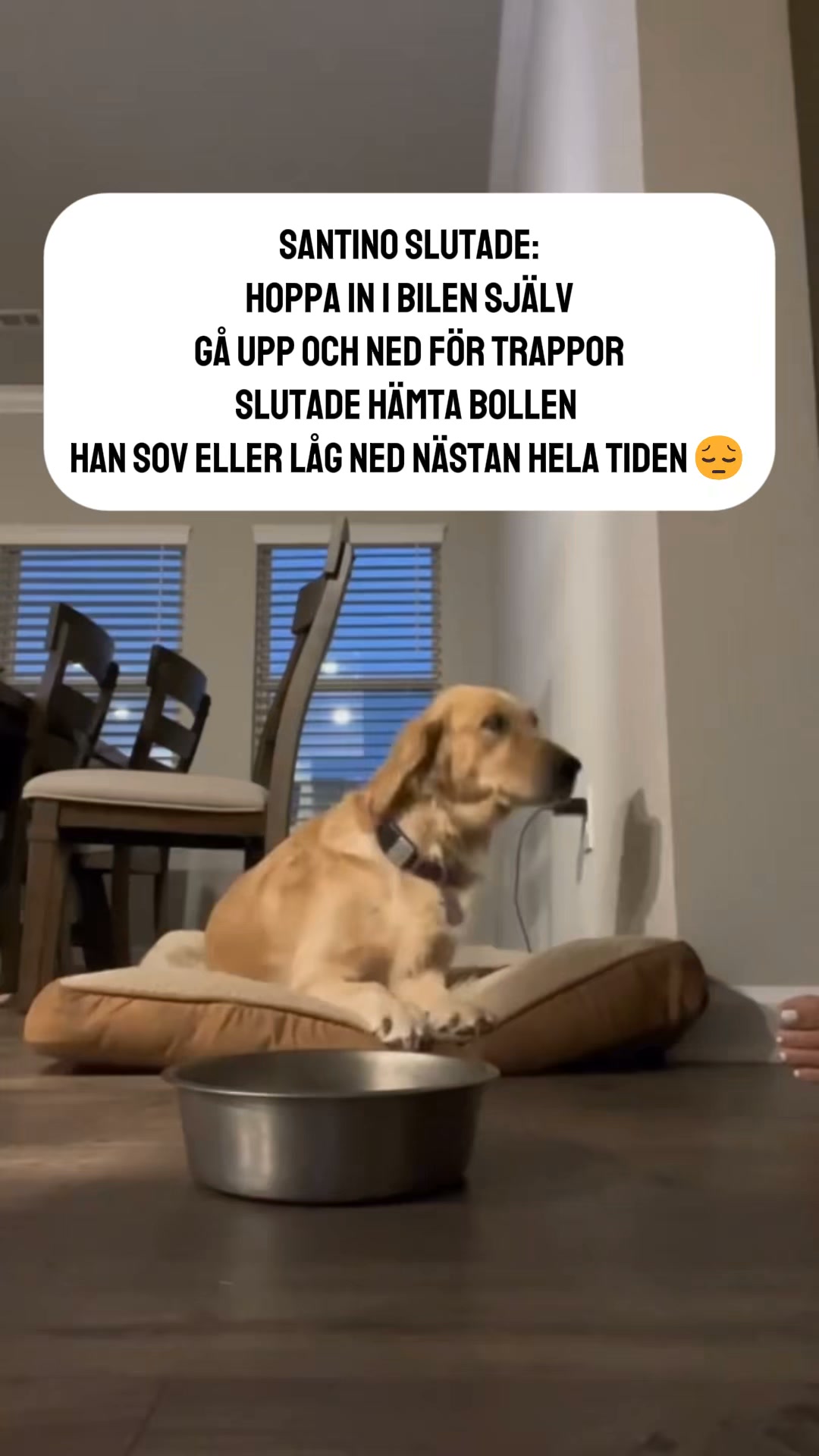 Ledgodis som faktiskt funkar