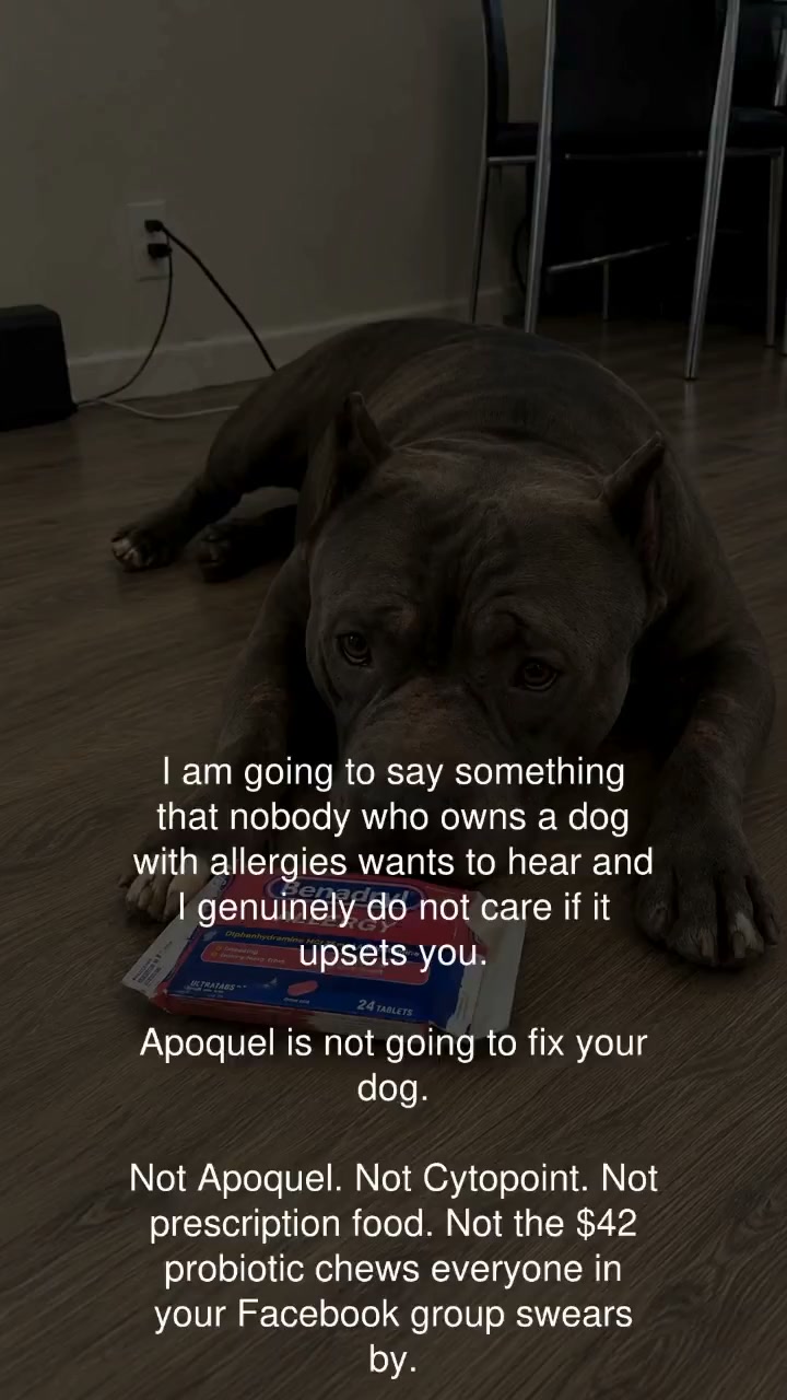 Read This Before Your Next Vet Bill