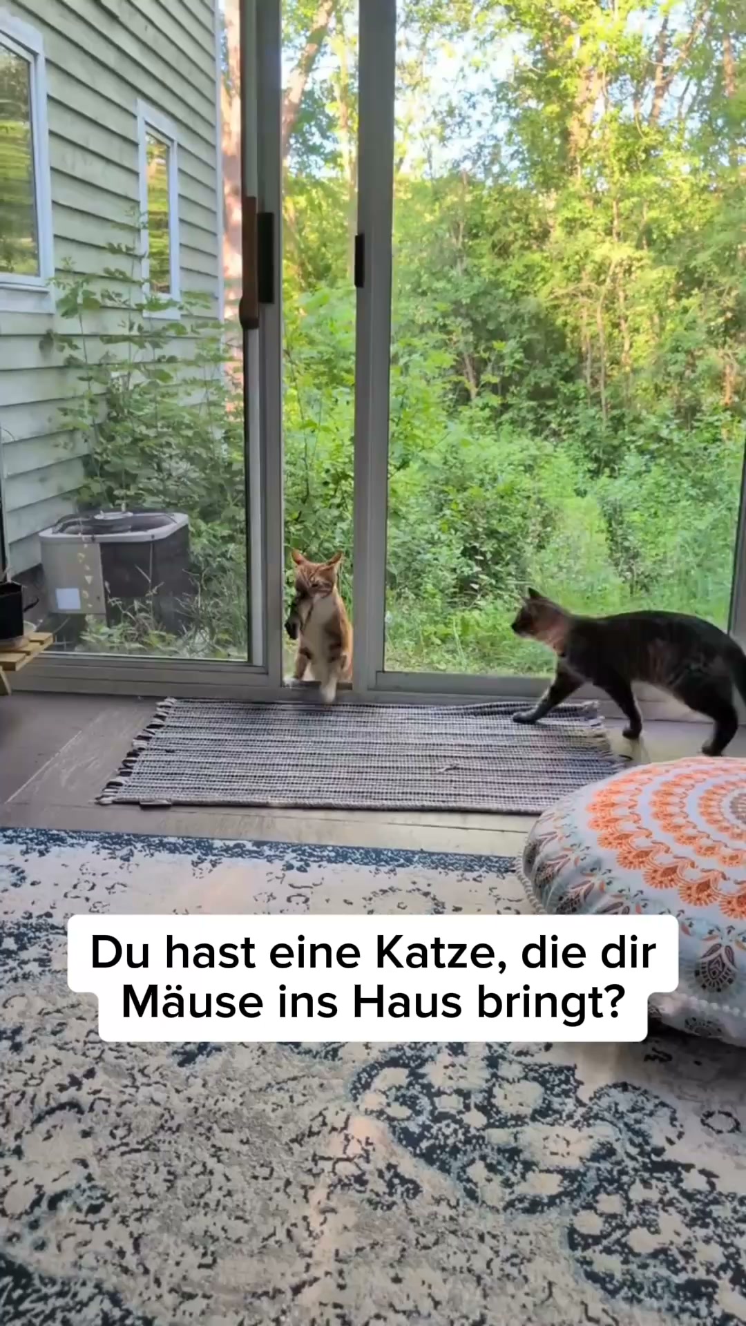 Über 16.000 glückliche Kunden