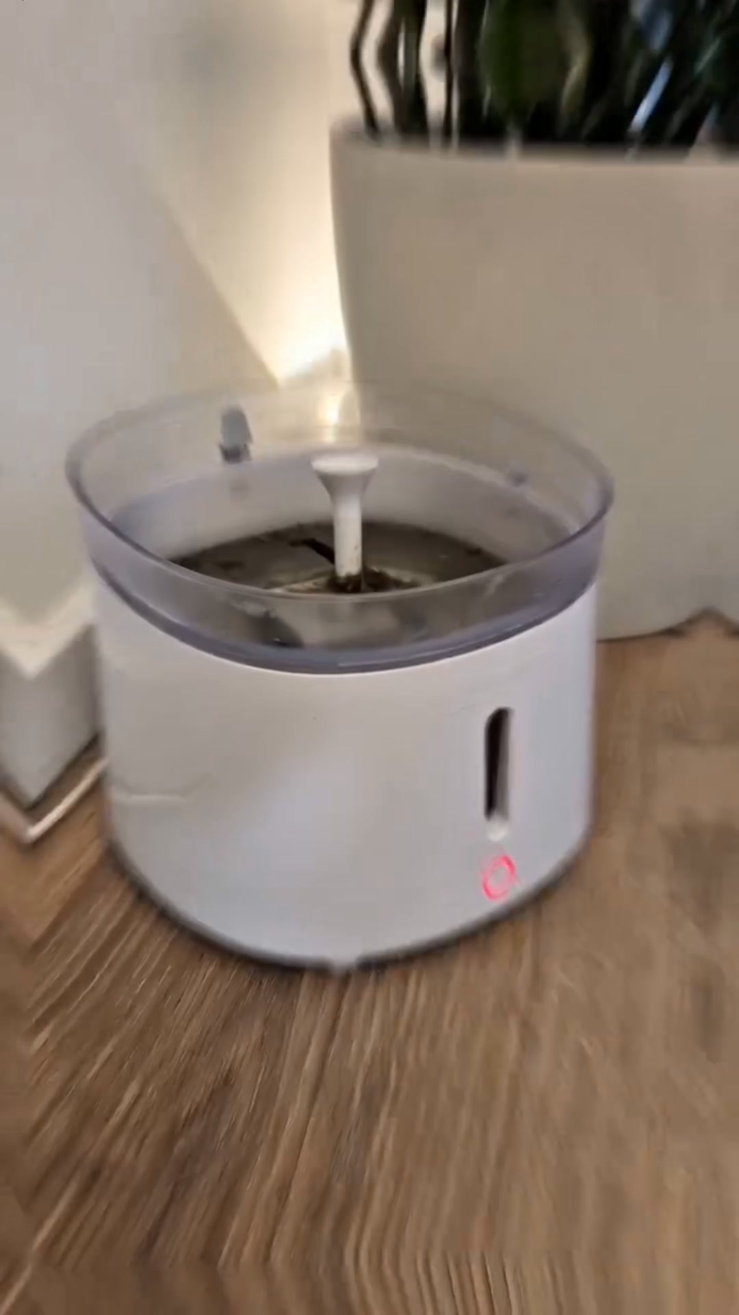 Tu mascota beberá hasta 3× más agua