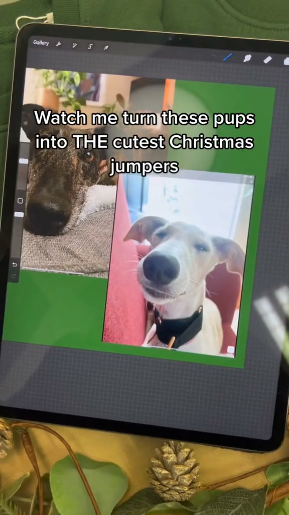Christmas Just Got Cuter