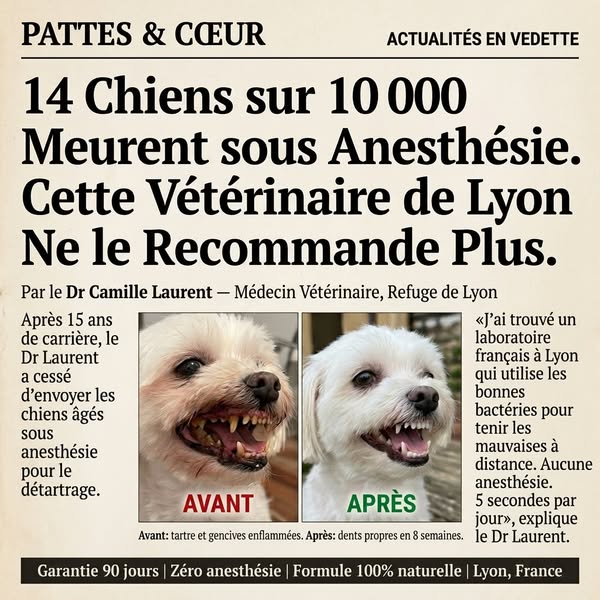 Le nettoyage des dents qui ne nécessite pas d'anesthésie