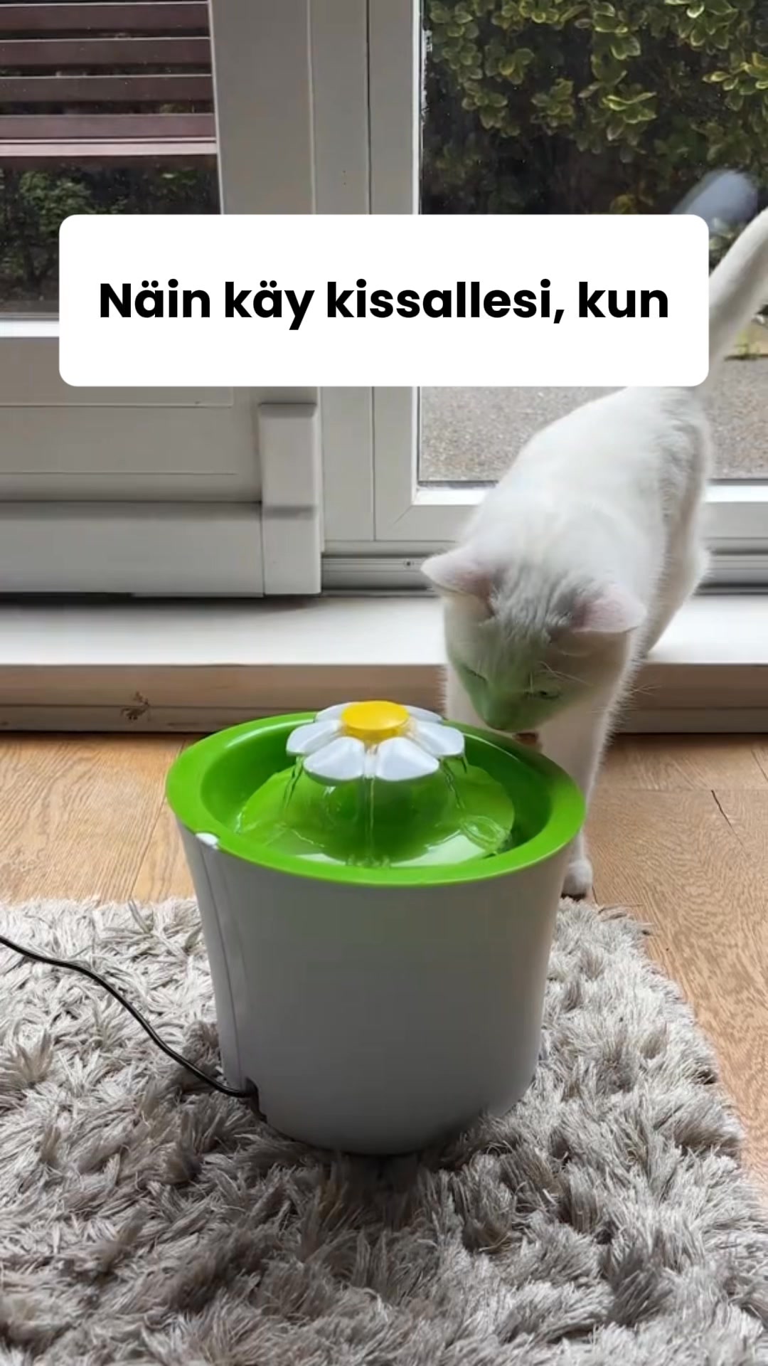 Saat 50% alennuksen + ilmaisen lahjan! Vain rajoitetun ajan!