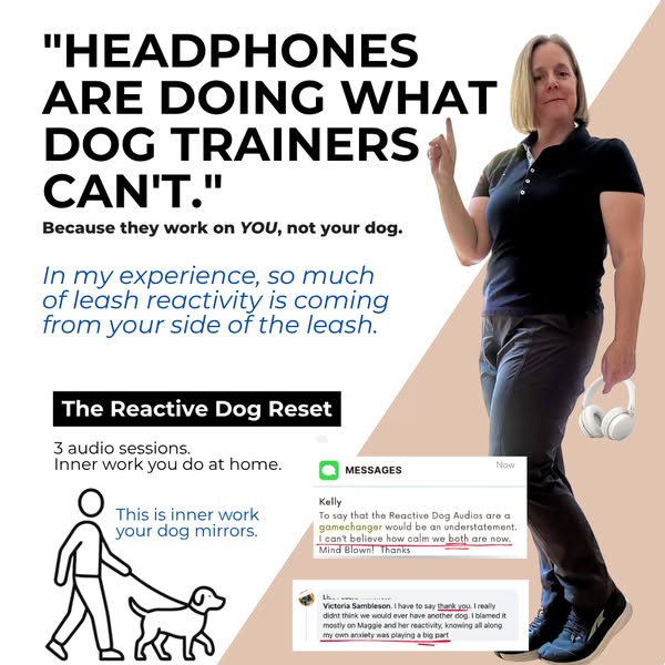 Your dog mirrors your energy. That's the good news.