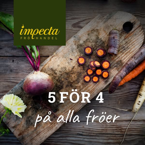 5 för 4 på hela frösortimentet