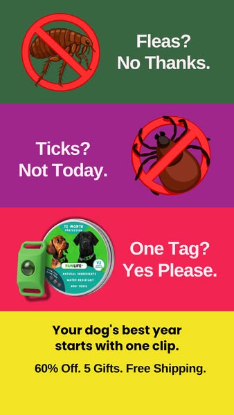 Provide a tick-free life for your pet