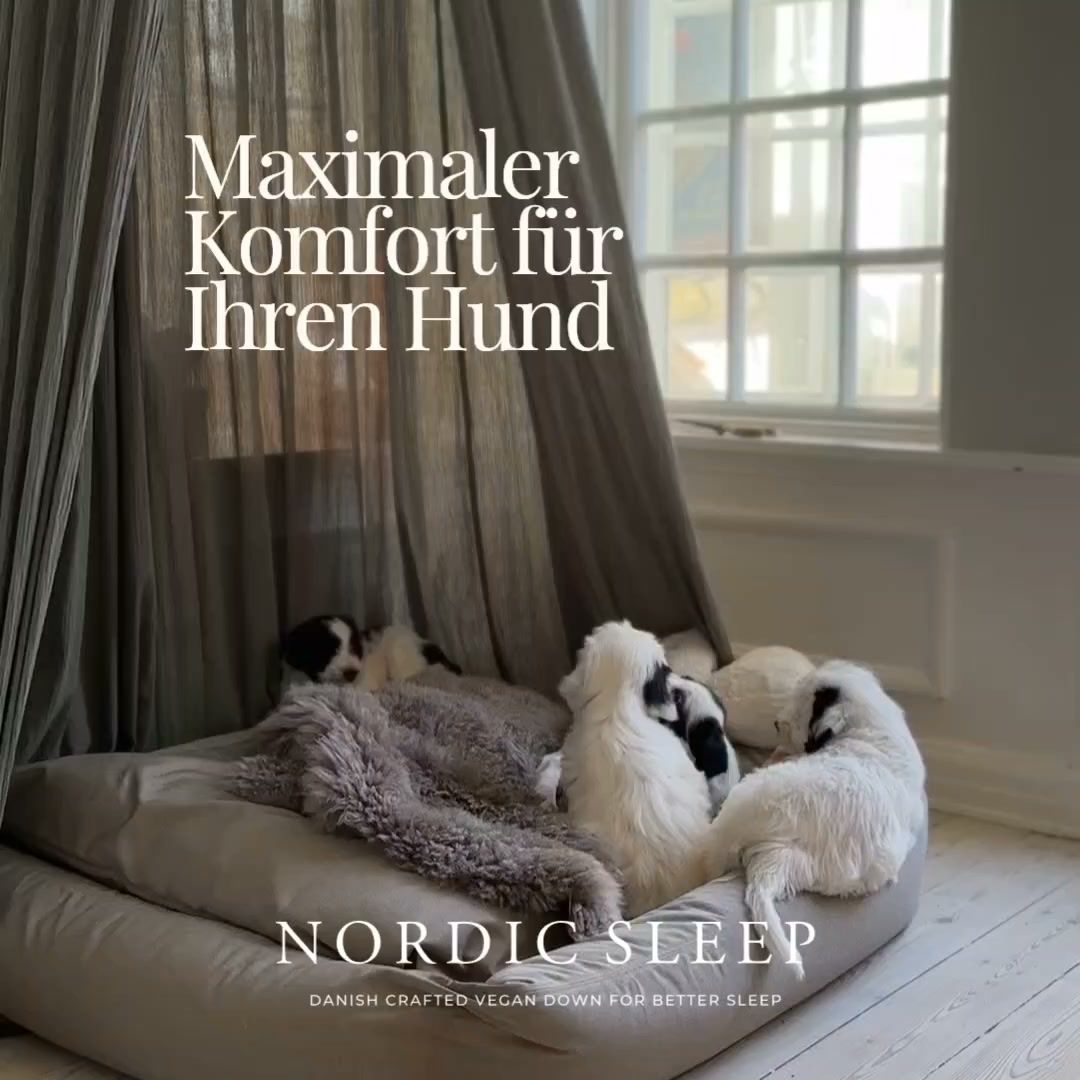 Letzte Chance: 70% sparen