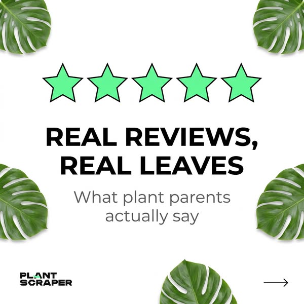 Anúncio de PlantScraper