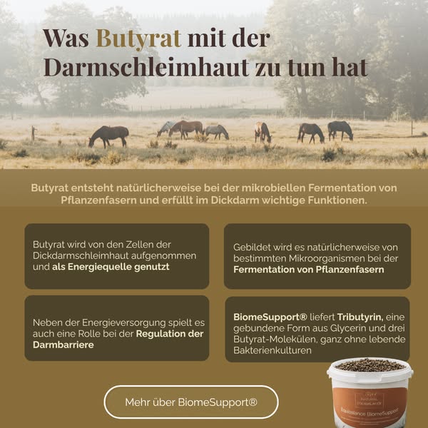 Jetzt den Unterschied entdecken