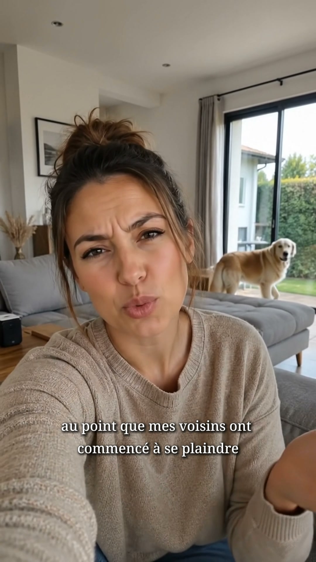 Dispositif anti-aboiement pour chien