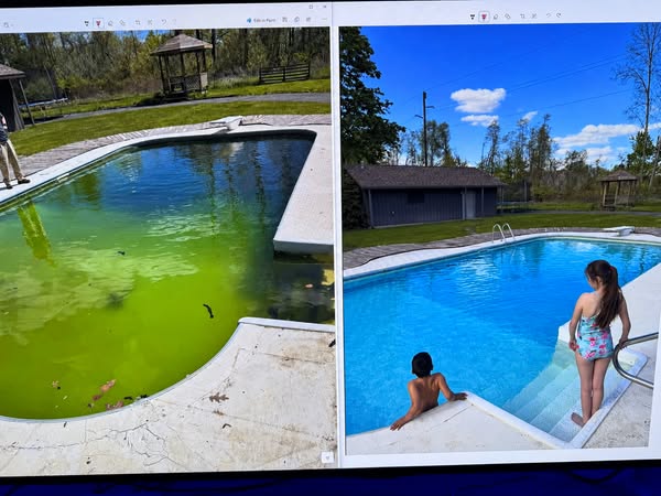 Open to Blue Water, Not a Green Swamp