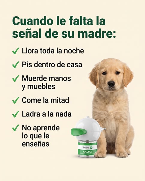 Hasta −54 % + difusor GRATIS