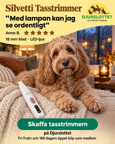 Se tasspälsen tydligare med Silvetti