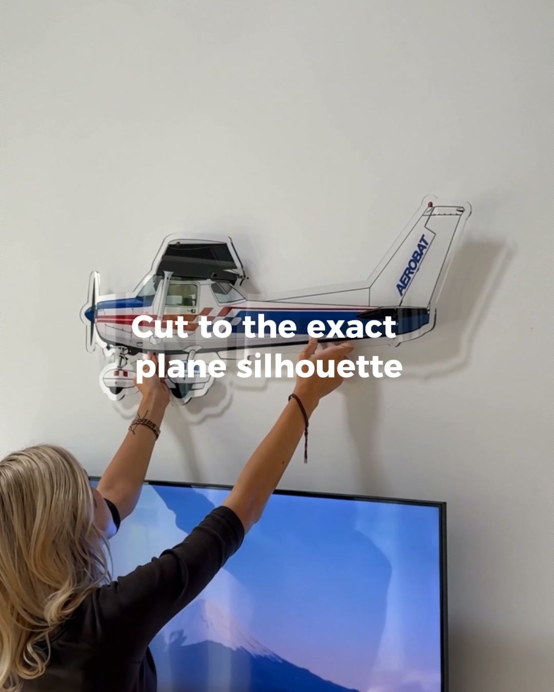Your Plane. Now on Your Wall.