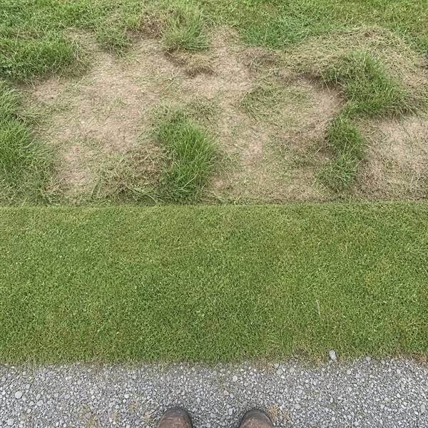 Read This If You Do Your Own Yard Work