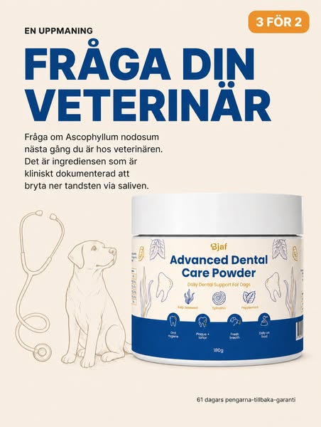 5 sekunder om dagen. Ingen tandborste.