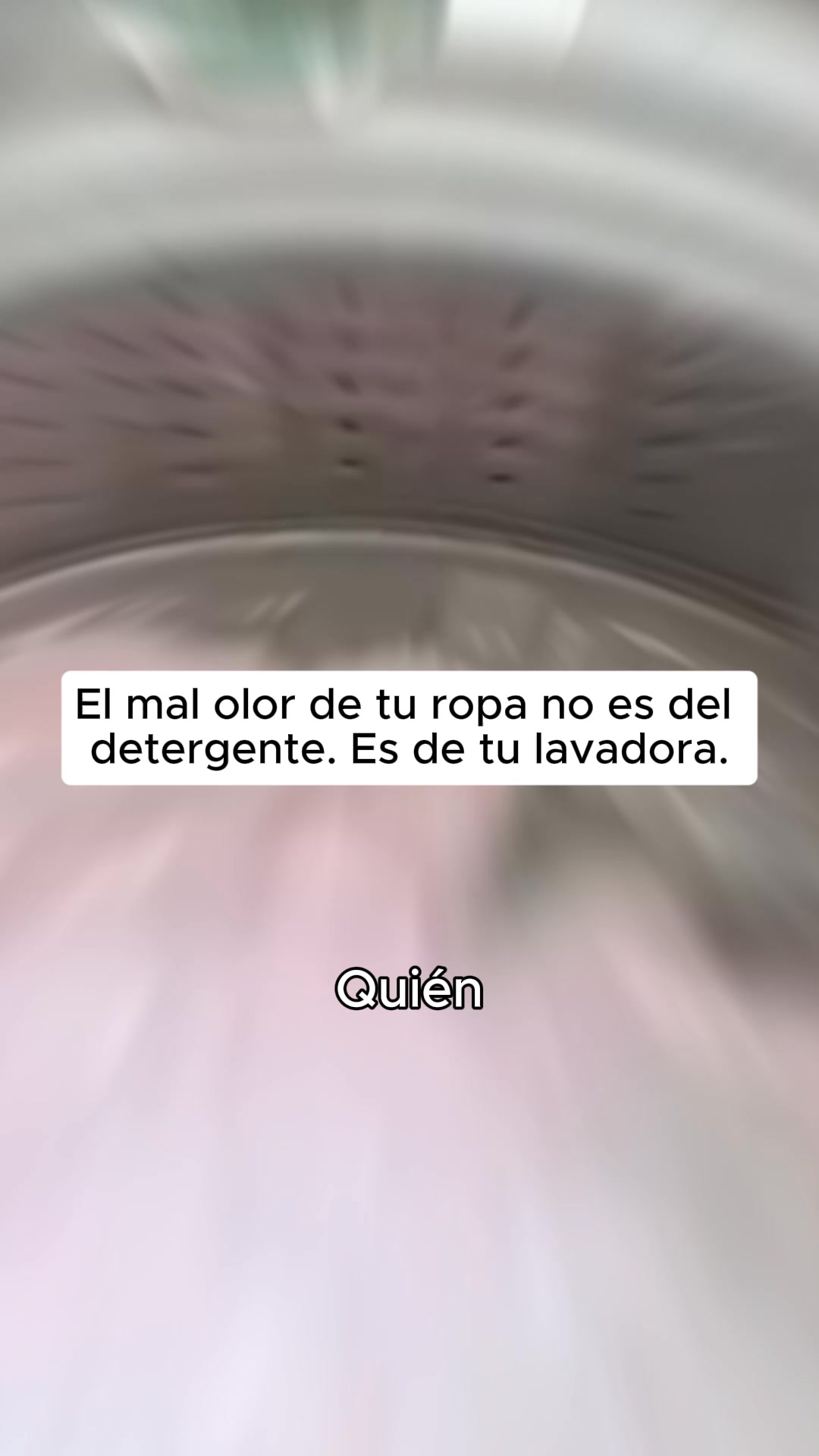 Gánale la batalla al pelo de tu mascota.