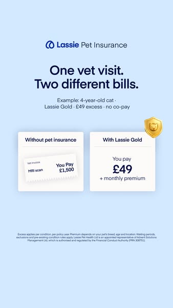 Insure your pet today