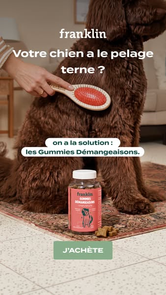Une recette gourmande
