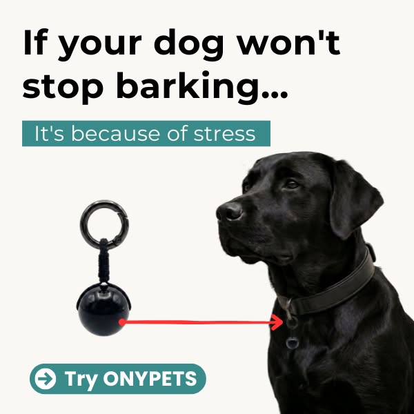 A Calmer pets starts here
