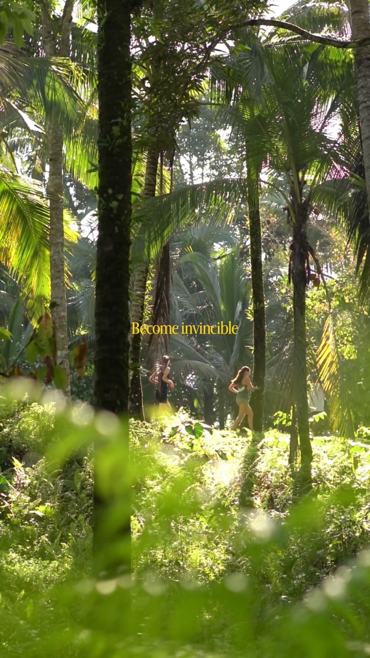 Anúncio de Offtrack Bali
