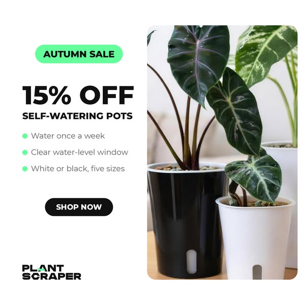 Self-watering pots, 15% off