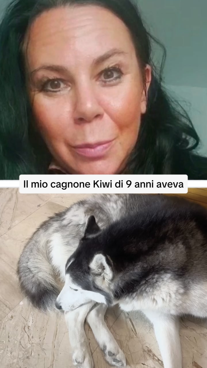 Elimina il Prurito del tuo Cane alla Fonte