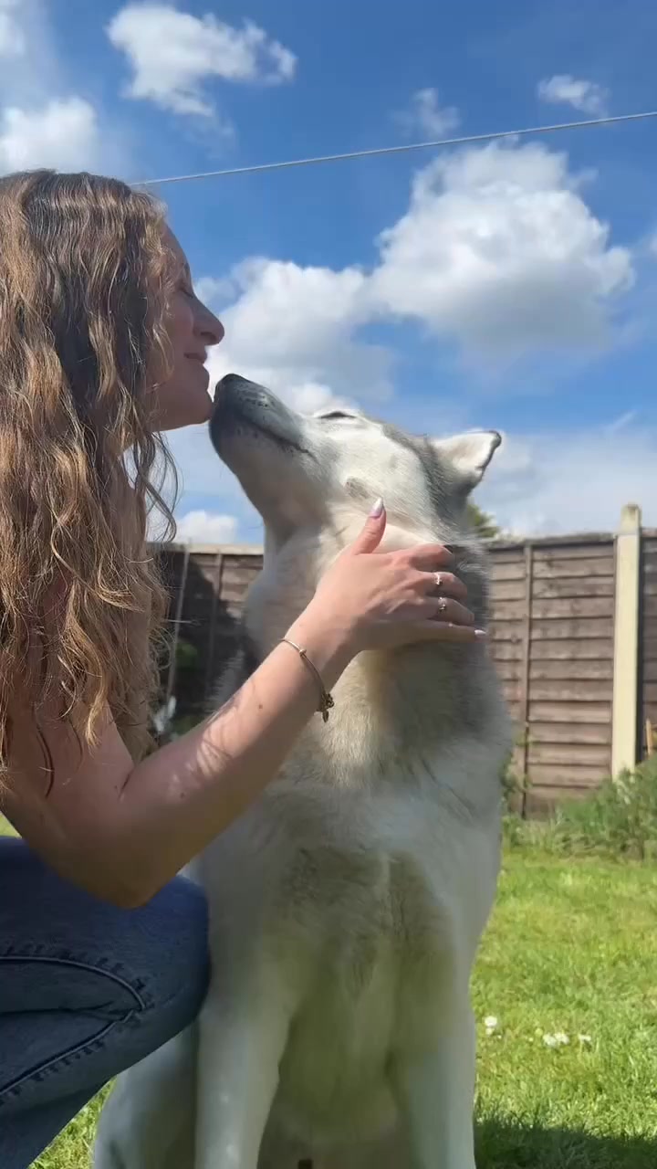 Fresh breath without a fight