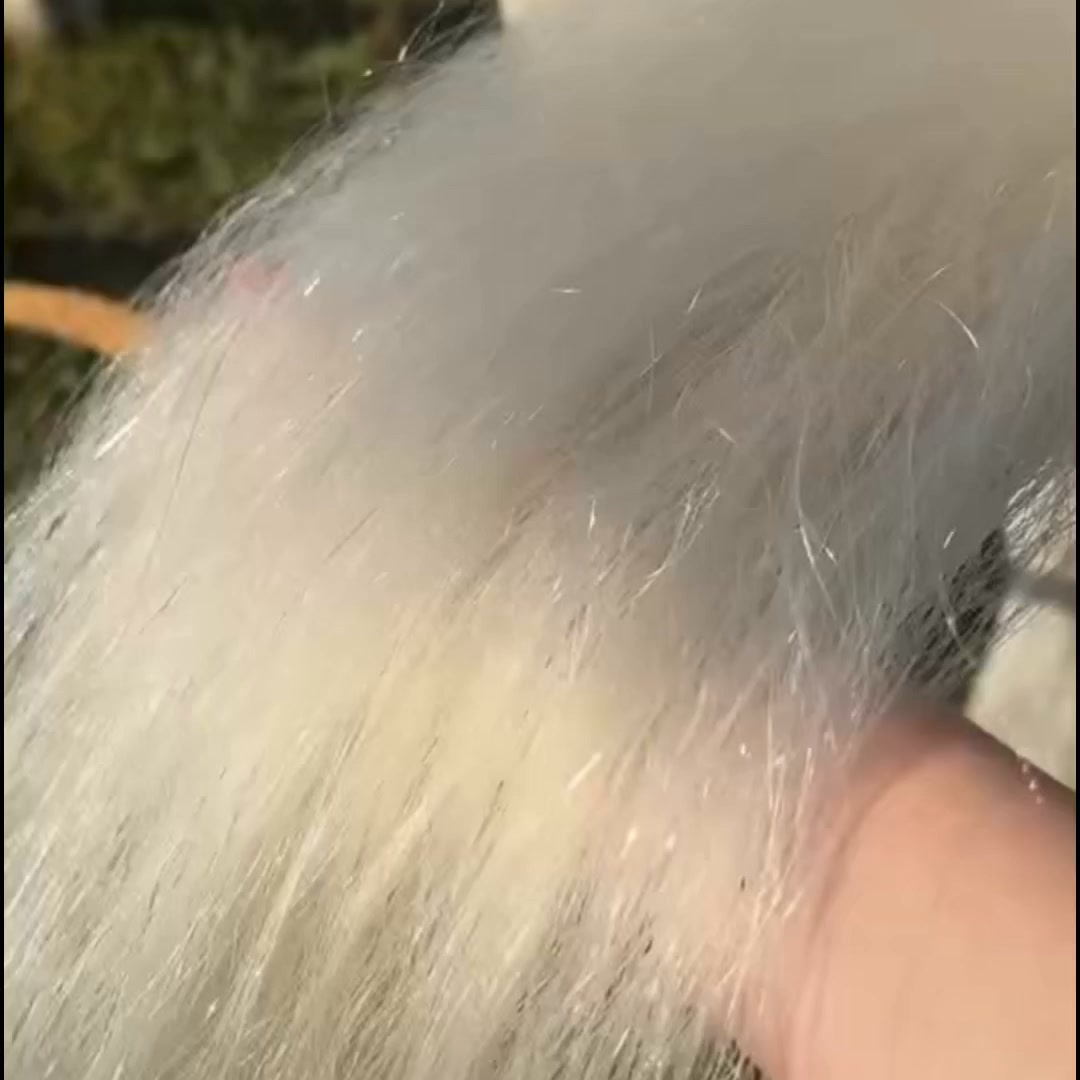 That Shine is Silicone-FREE