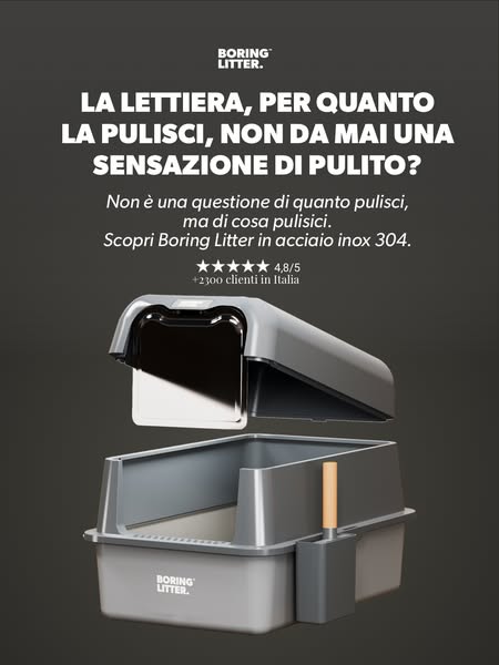 La Lettiera in Acciaio Inox Che Ti Cambierà la Vita