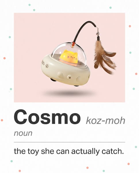 Cosmo: The Toy She Can Actually Catch