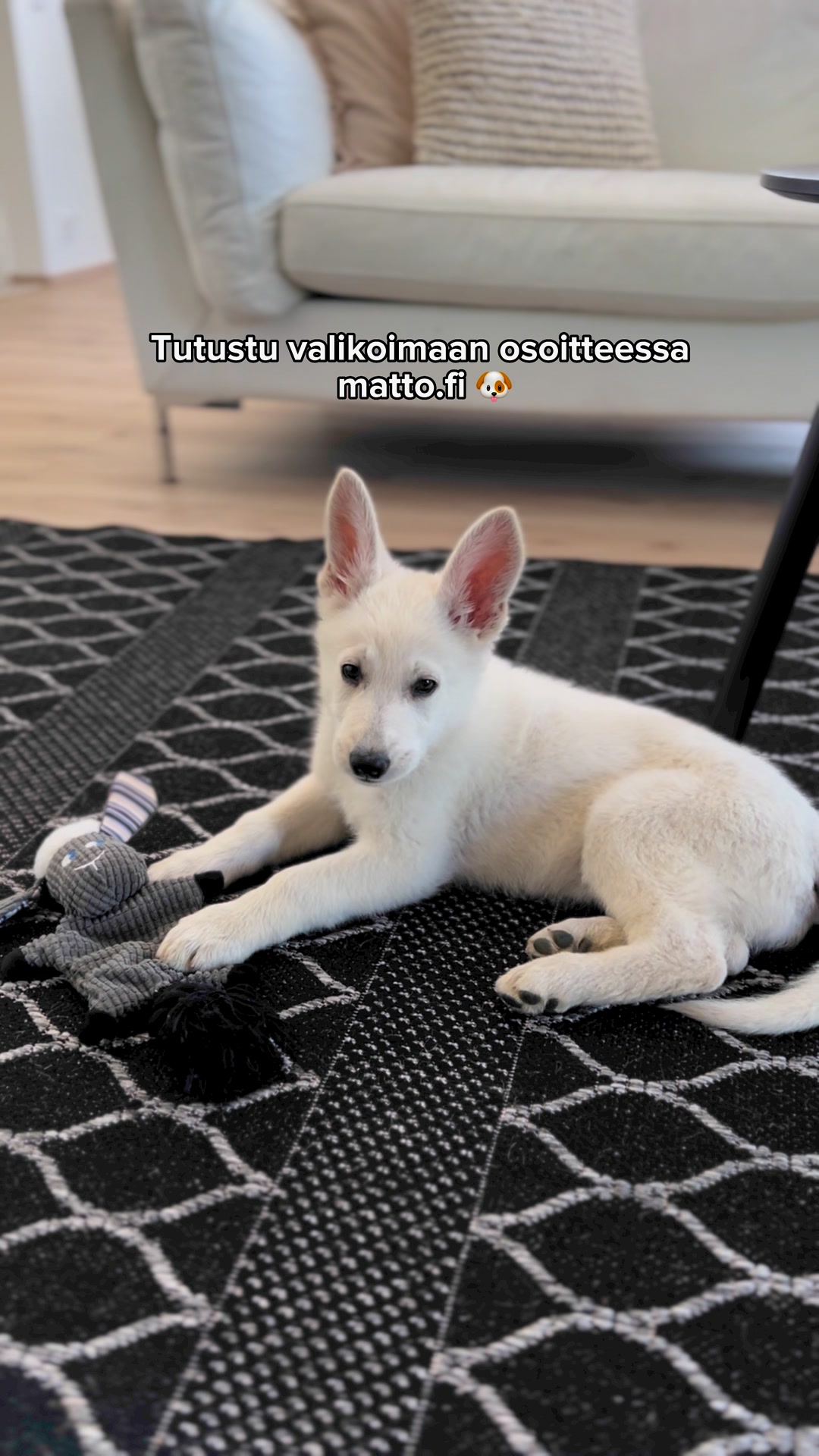 Helppohoitoinen ja kestävä