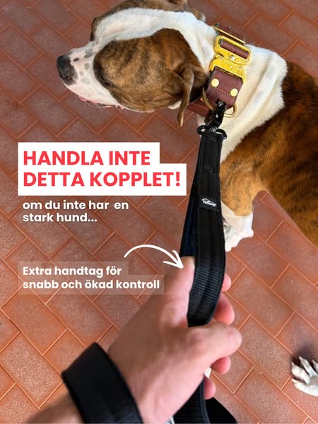 Valt av över 100 000 hundägare