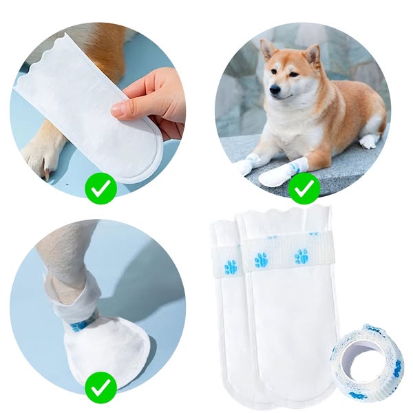 elegant-paws.pl