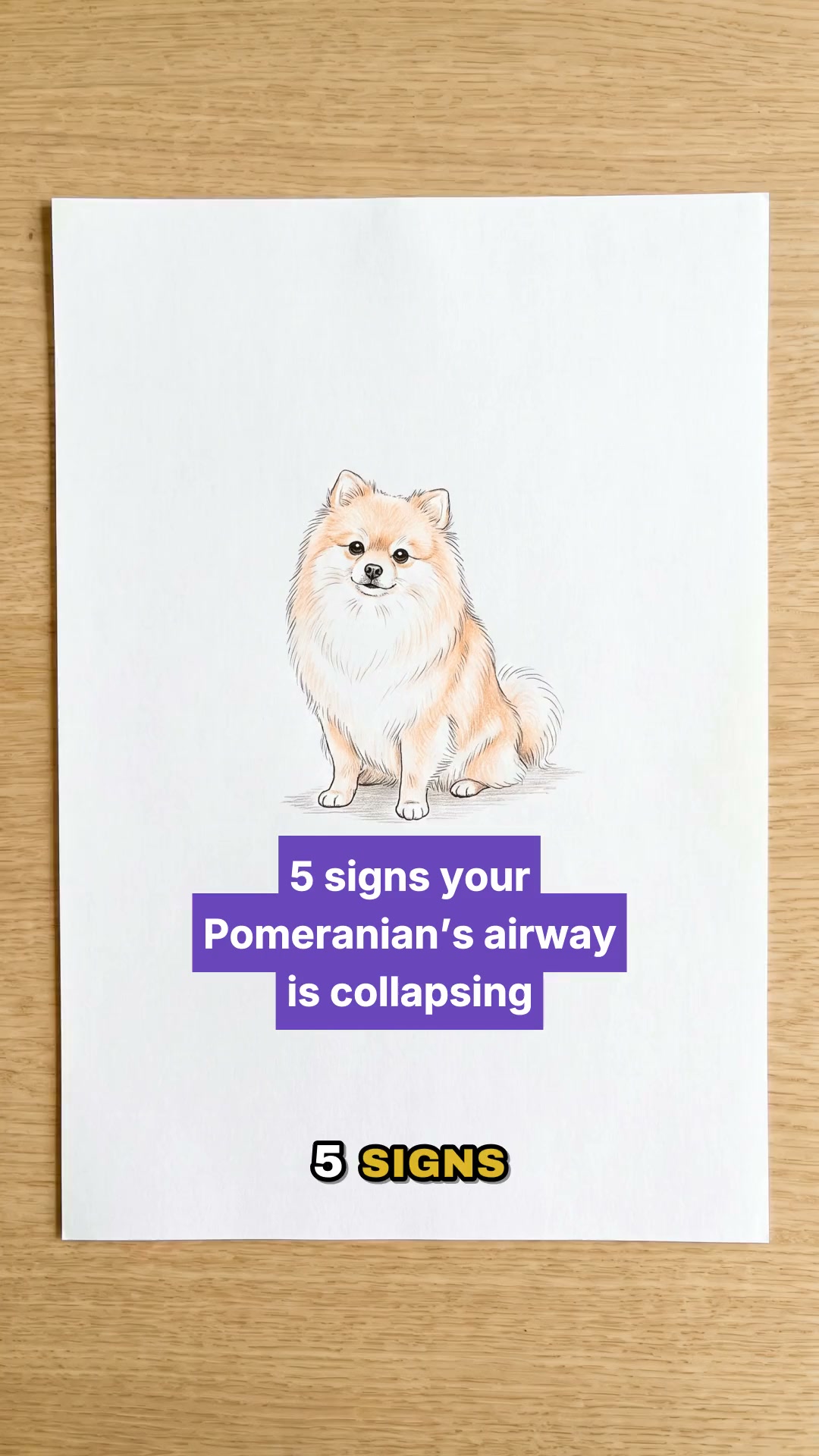 Watch this if your Pom sounds like a goose